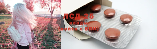 apvp Алексин