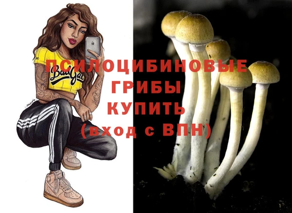 COCAINE Алексеевка
