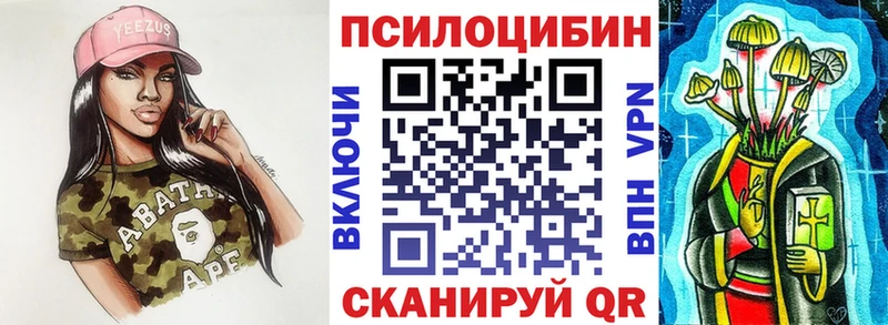 mega ТОР  купить наркотики цена  Калтан  Галлюциногенные грибы Cubensis 