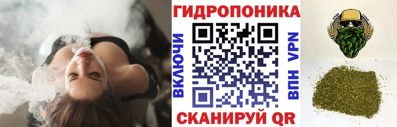 blacksprut маркетплейс  Калтан  Каннабис ГИДРОПОН 